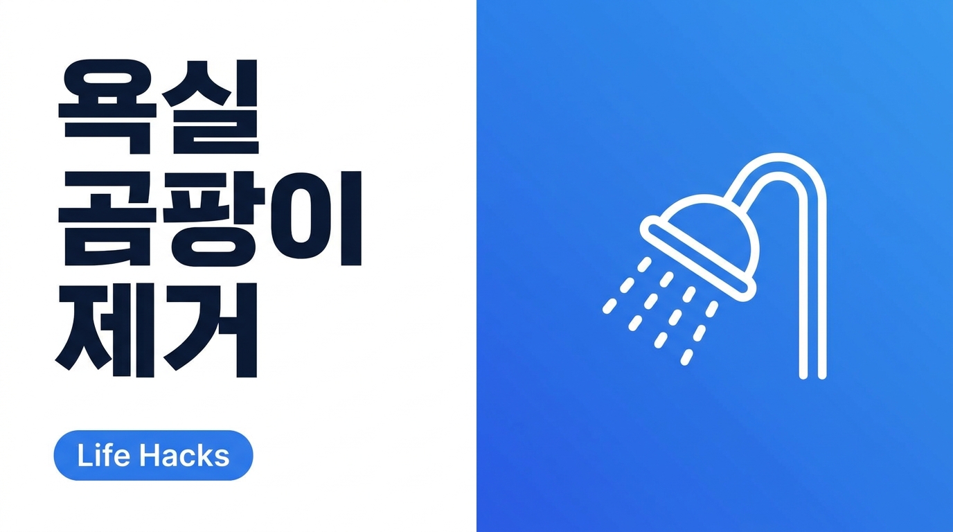 화장실 곰팡이 제거 방법, 다시 안 생기게 관리하는 법